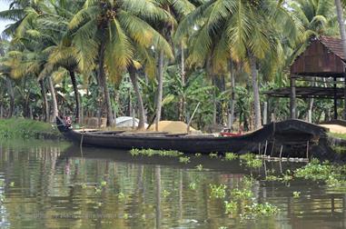 Houseboat-Tour from Alleppey to Kollam_DSC6541_H600